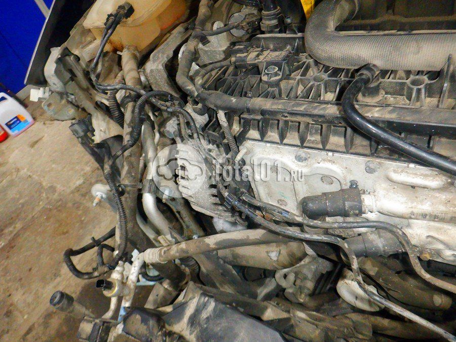 Фото Ford Focus 272