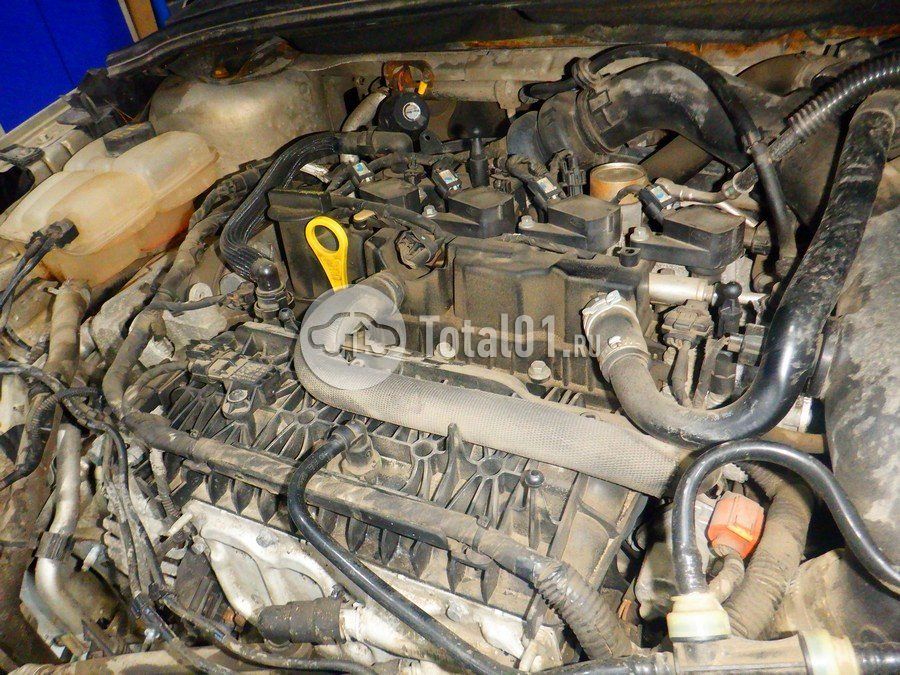 Фото Ford Focus 274