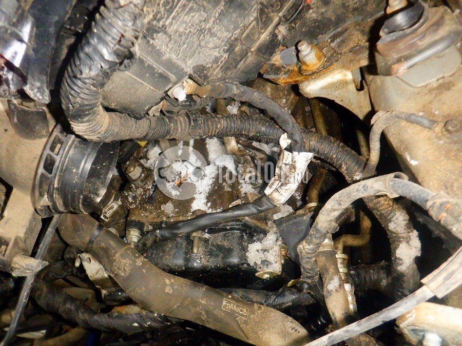 Фото Ford Focus 278