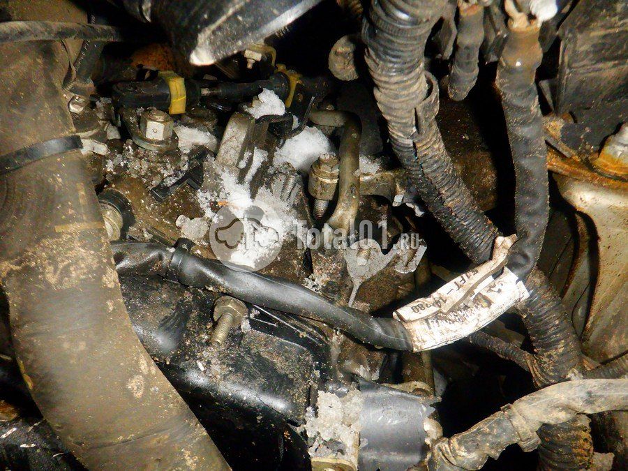 Фото Ford Focus 280