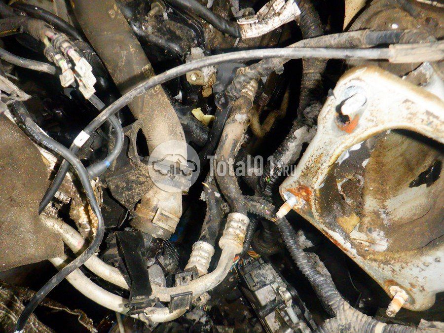 Фото Ford Focus 282