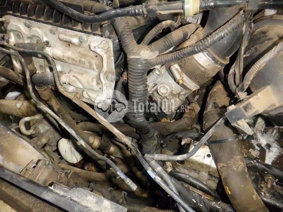 Фото Ford Focus 284