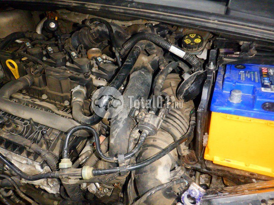 Фото Ford Focus 286