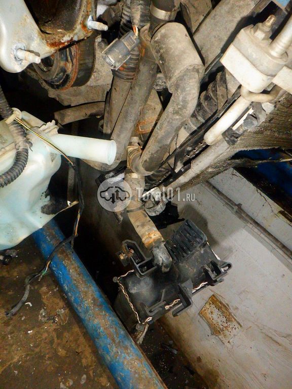 Фото Ford Focus 298