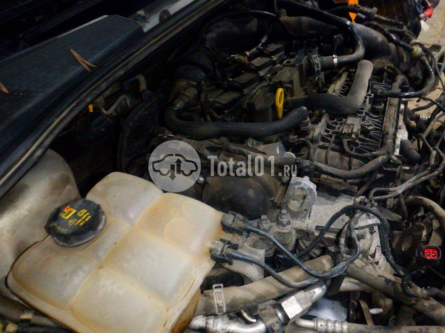 Фото Ford Focus 302