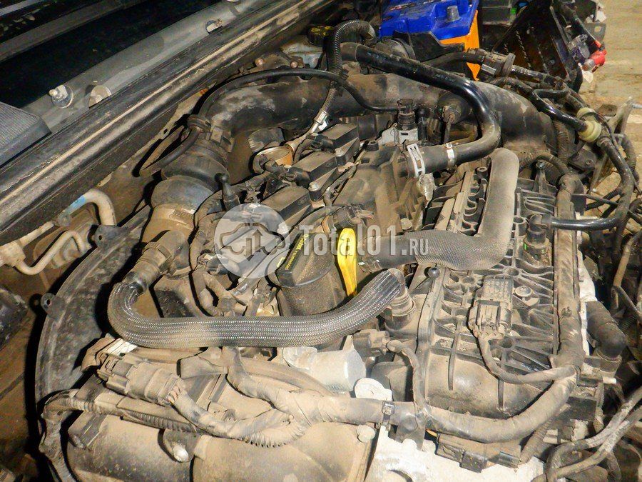 Фото Ford Focus 306