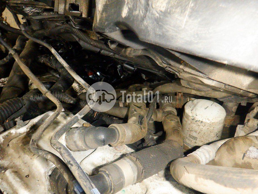 Фото Ford Focus 312