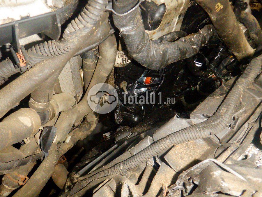 Фото Ford Focus 314