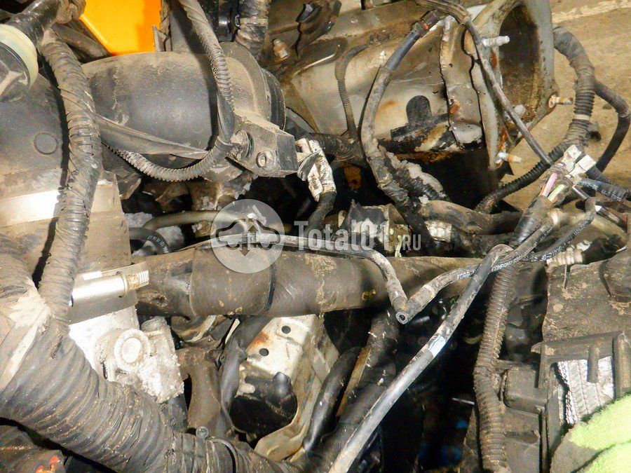 Фото Ford Focus 316