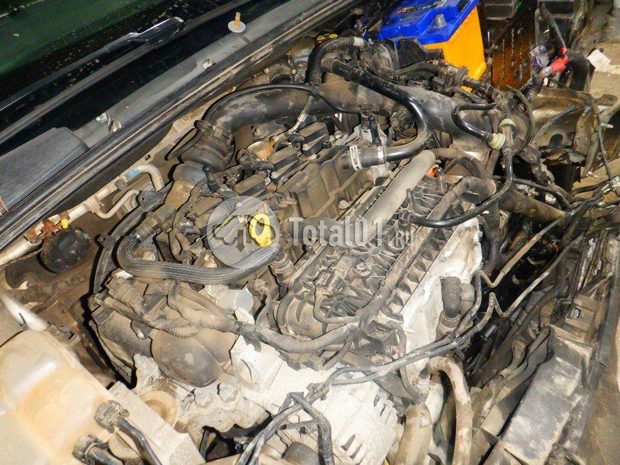 Фото Ford Focus 318