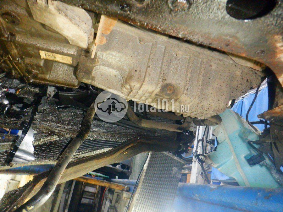 Фото Ford Focus 346