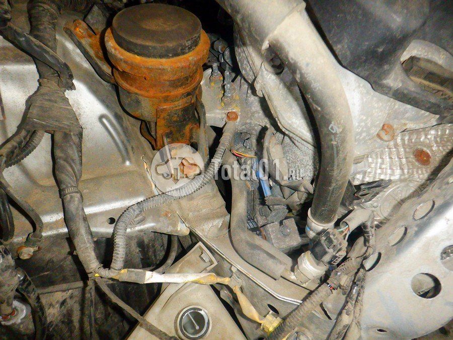 Фото Suzuki Vitara 186