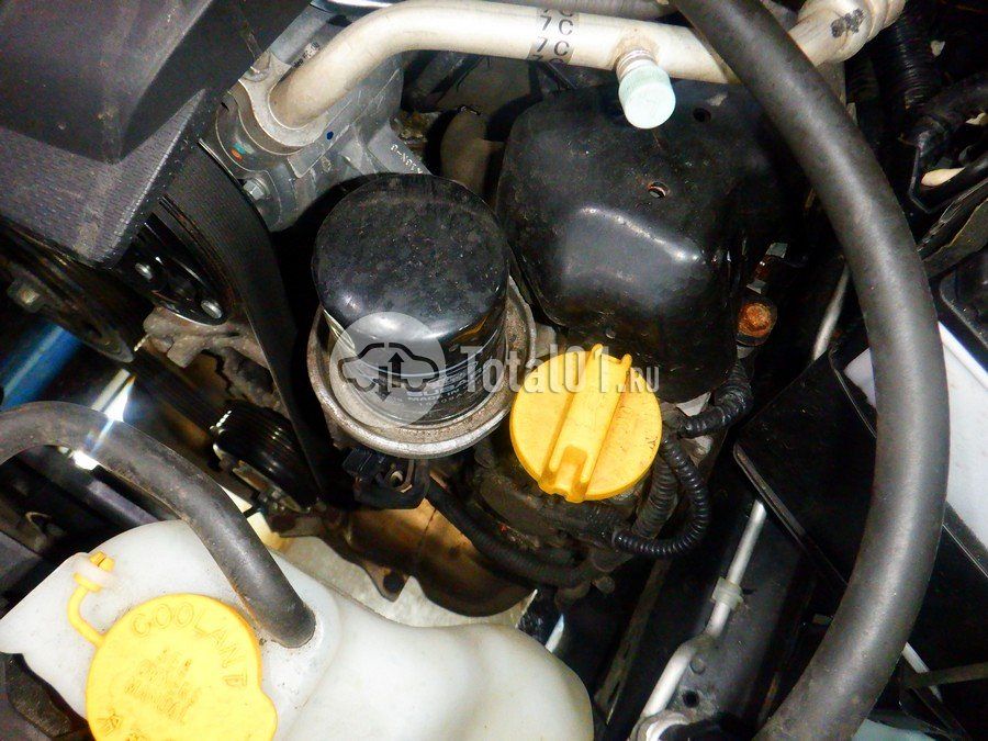 Фото Subaru Forester 202