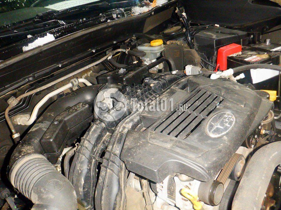 Фото Subaru Forester 240