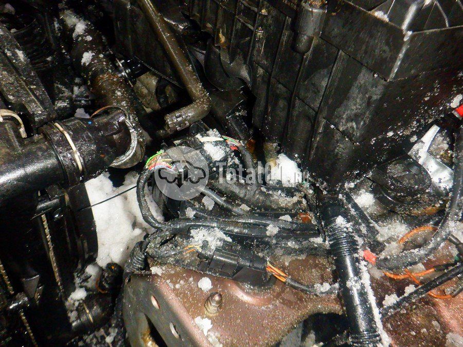 Фото Skoda Yeti 226