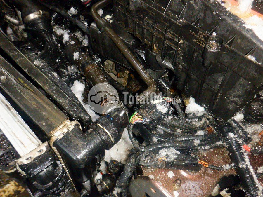 Фото Skoda Yeti 244