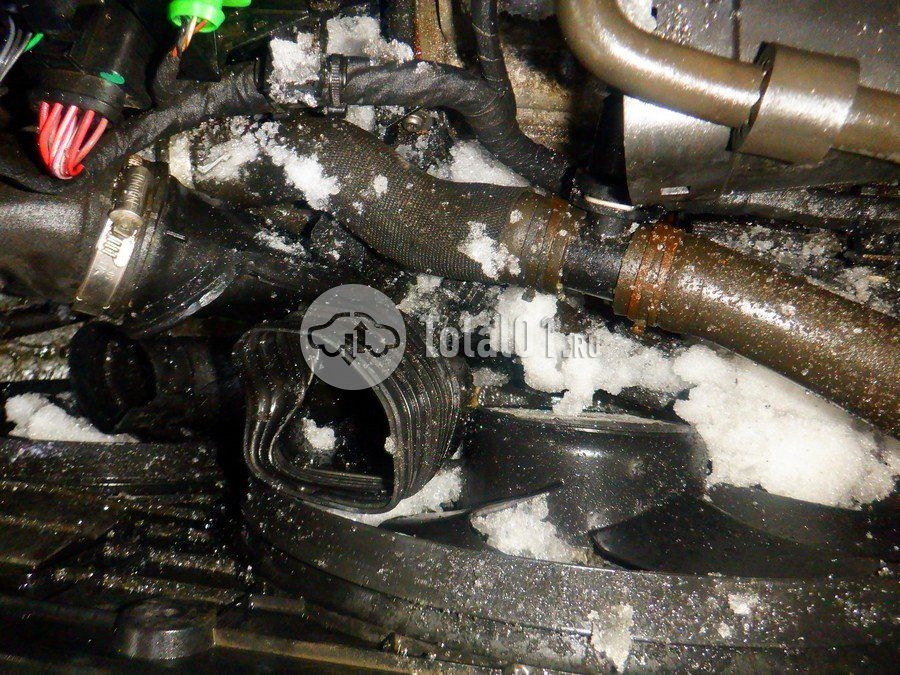 Фото Skoda Yeti 248