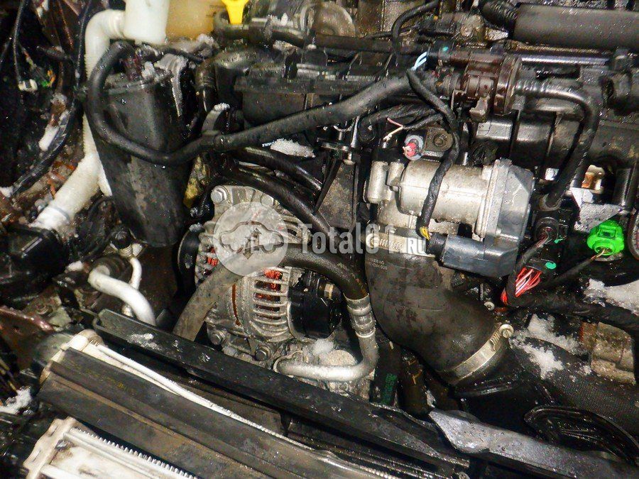 Фото Skoda Yeti 252