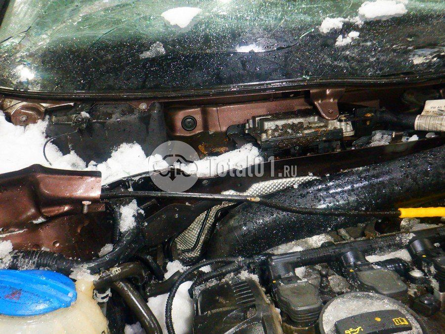 Фото Skoda Yeti 260