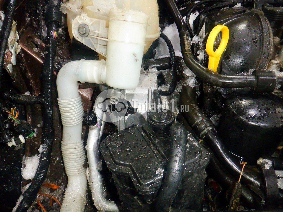 Фото Skoda Yeti 264