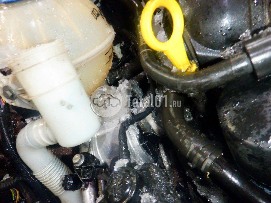 Фото Skoda Yeti 266