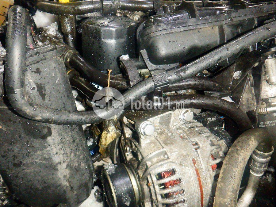 Фото Skoda Yeti 286