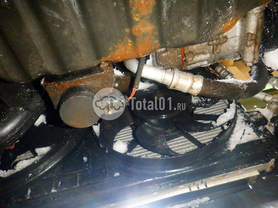 Фото Skoda Yeti 354