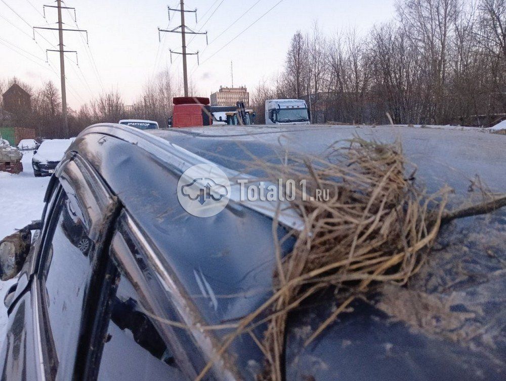 Фото Belgee X50 134