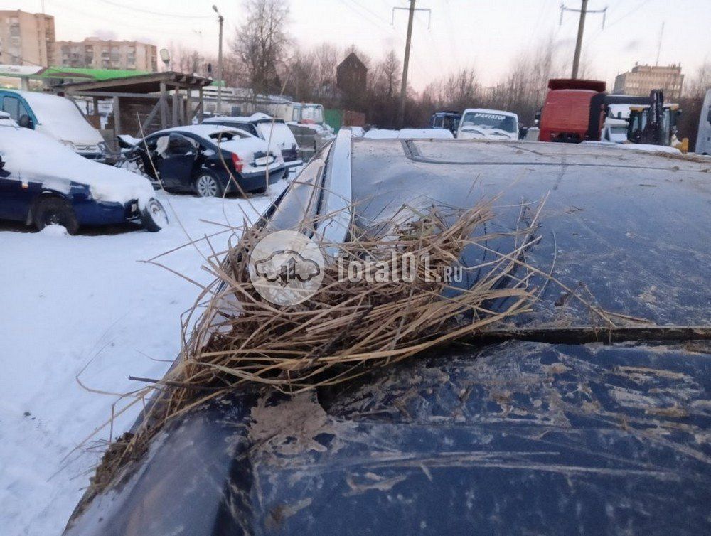 Фото Belgee X50 146