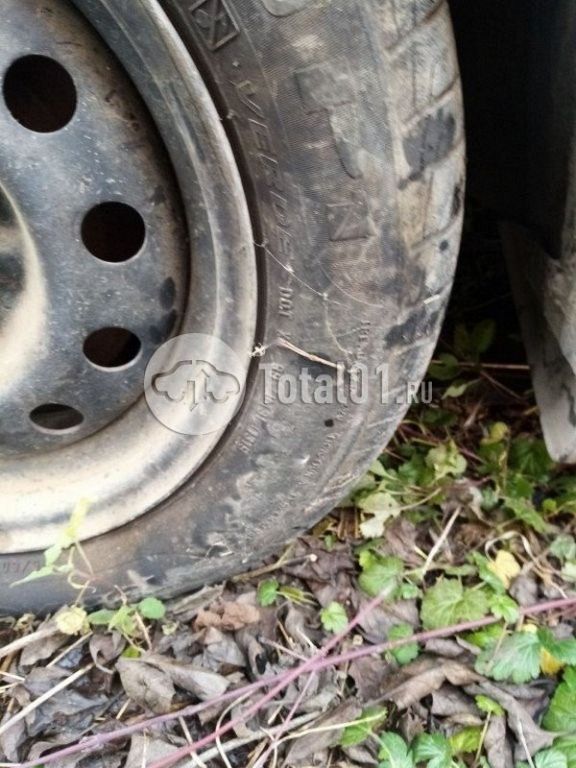 Фото Datsun mi-DO 66