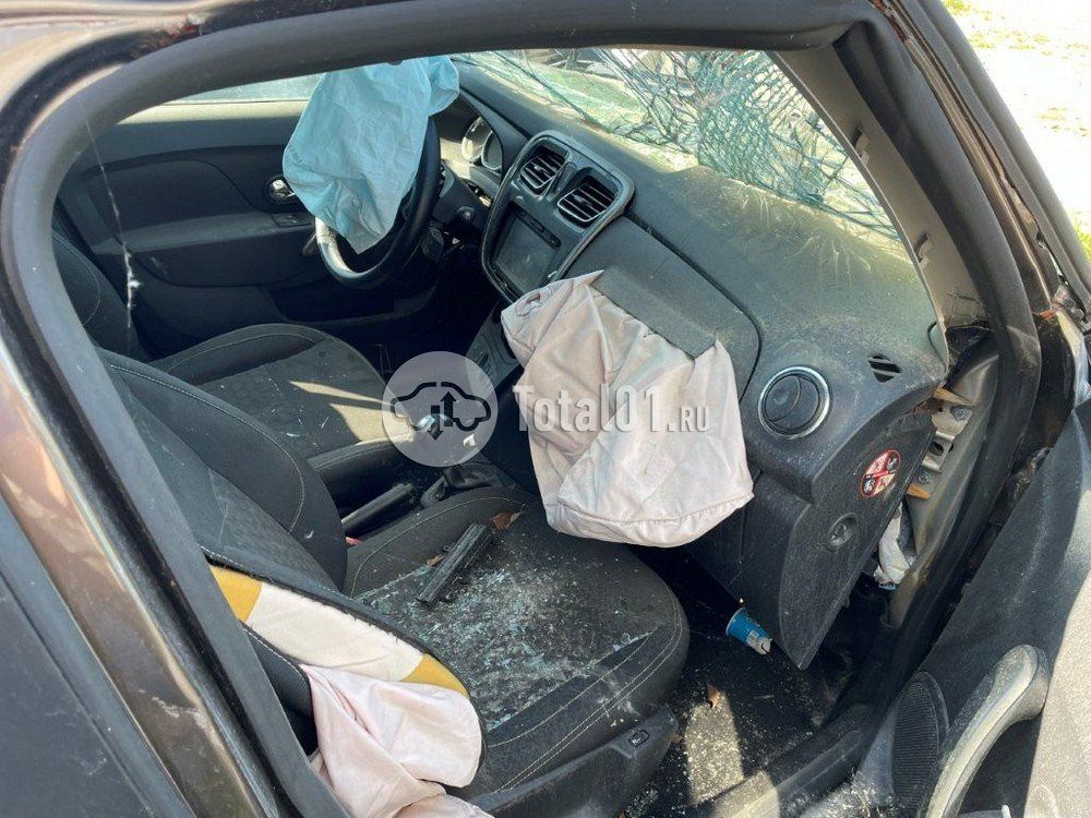 Фото Renault Sandero 46