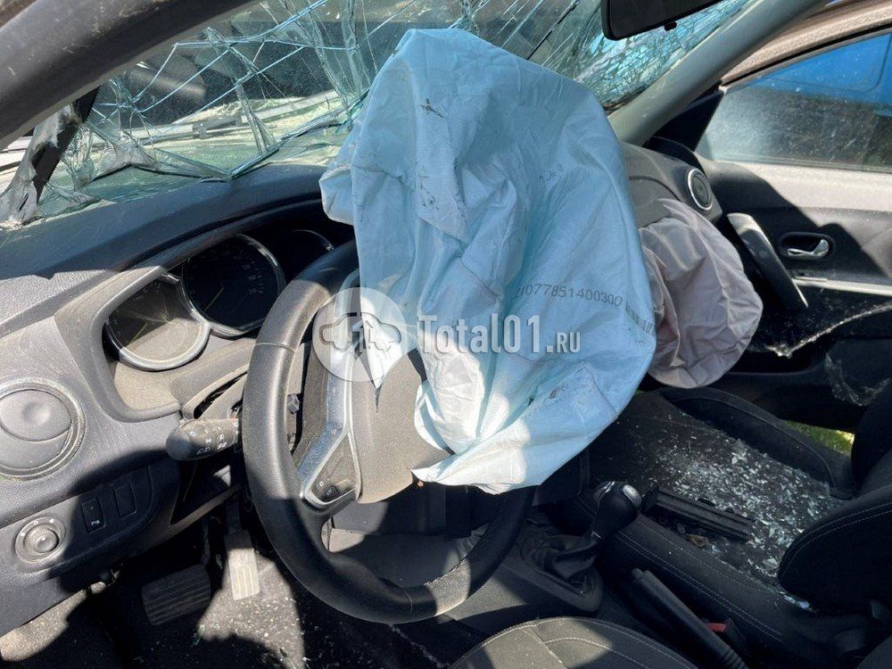 Фото Renault Sandero 58