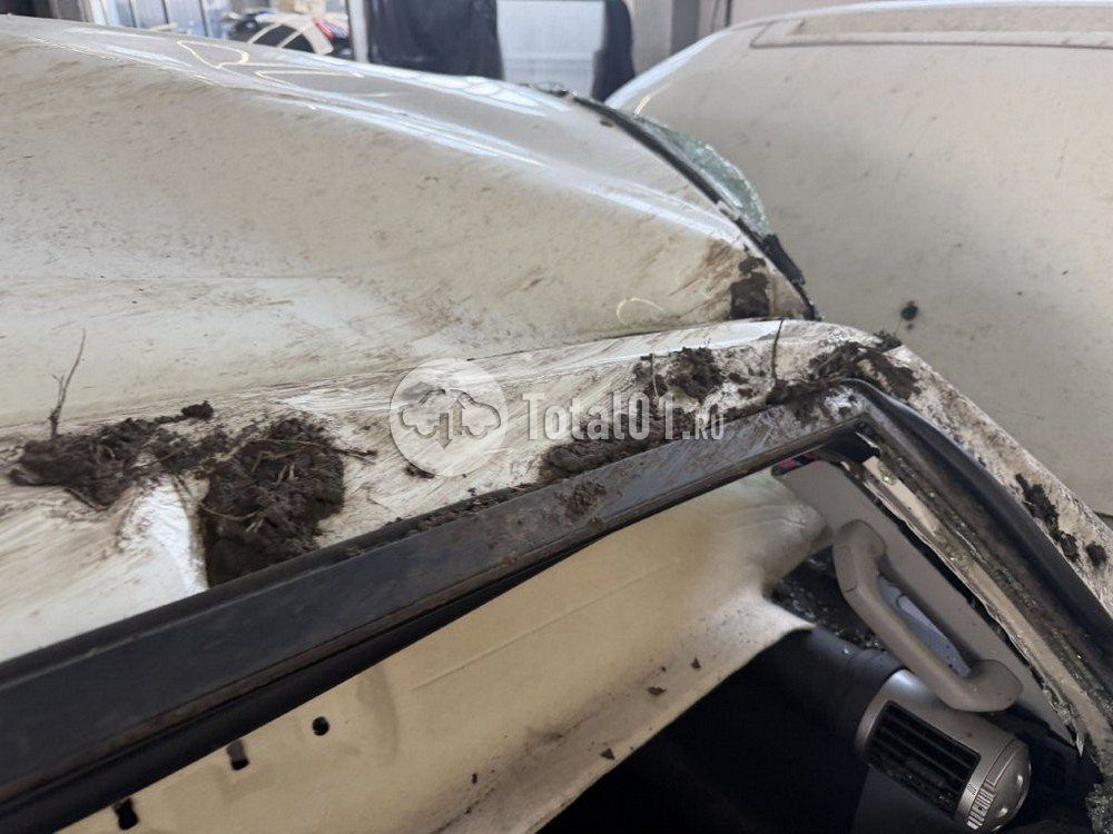 Фото Toyota FJ Cruiser 22