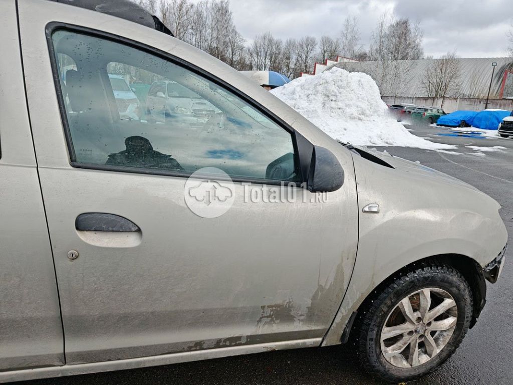 Фото Renault Sandero 20