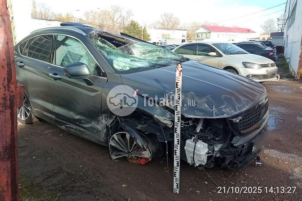 Фото Knewstar 1 4