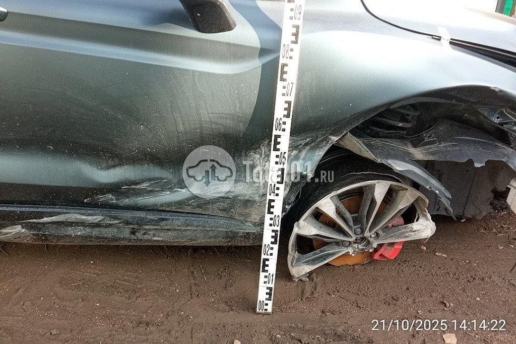 Фото Knewstar 1 12