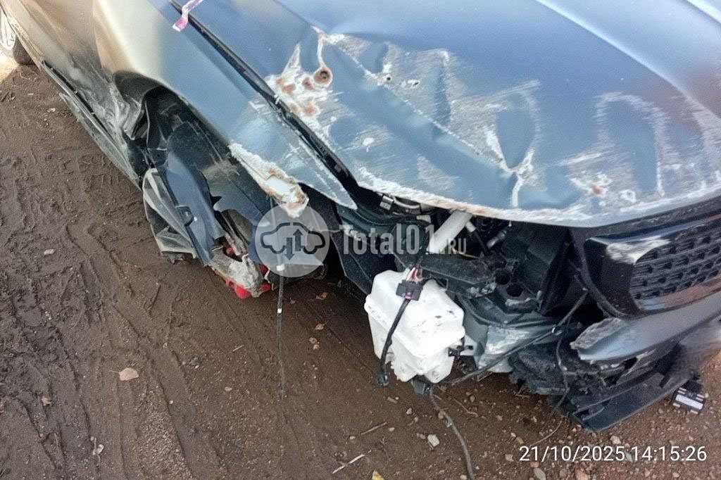 Фото Knewstar 1 26