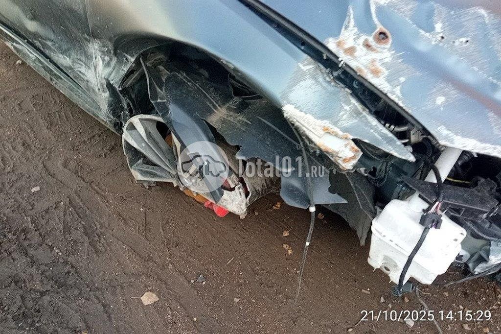 Фото Knewstar 1 30