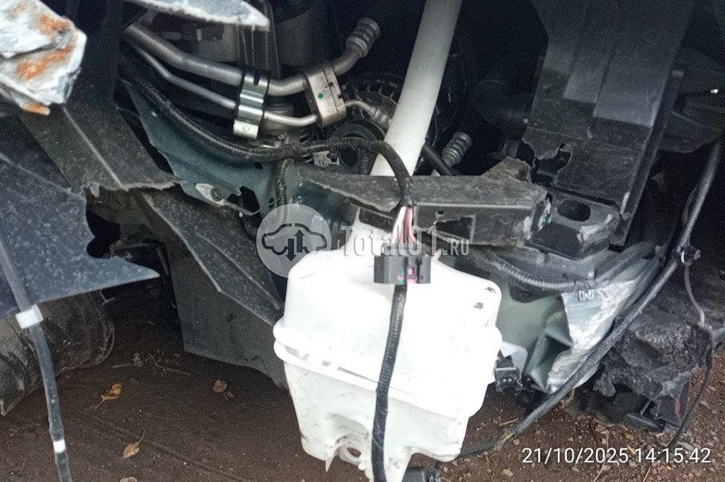 Фото Knewstar 1 44