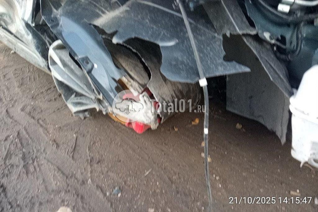 Фото Knewstar 1 50