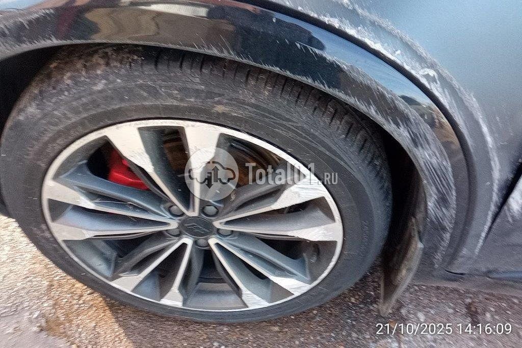 Фото Knewstar 1 64