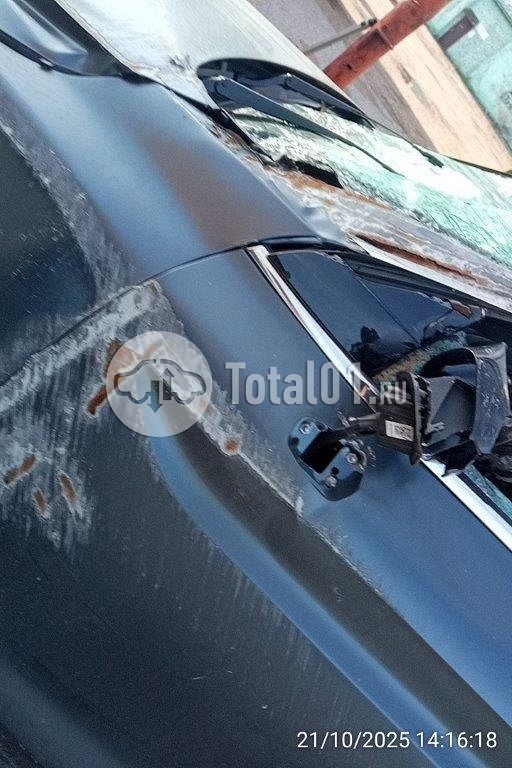 Фото Knewstar 1 72