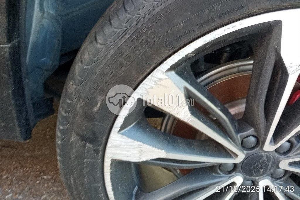 Фото Knewstar 1 140