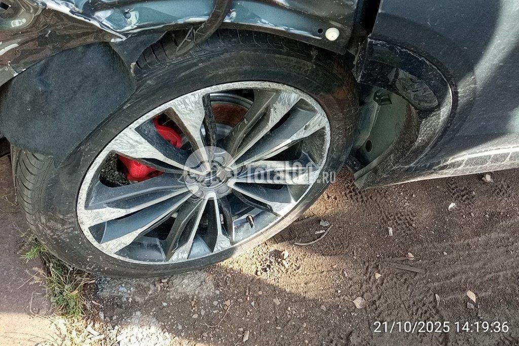 Фото Knewstar 1 240