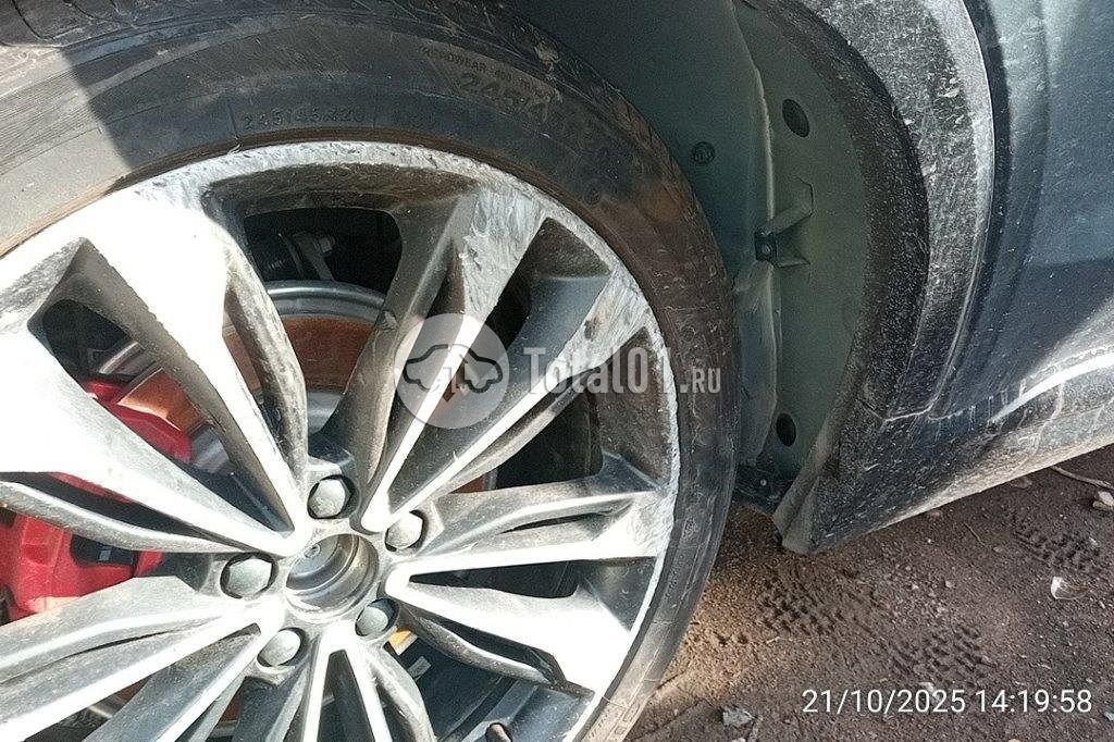 Фото Knewstar 1 258