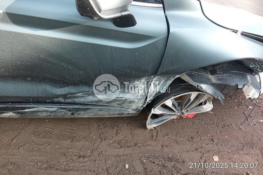 Фото Knewstar 1 260