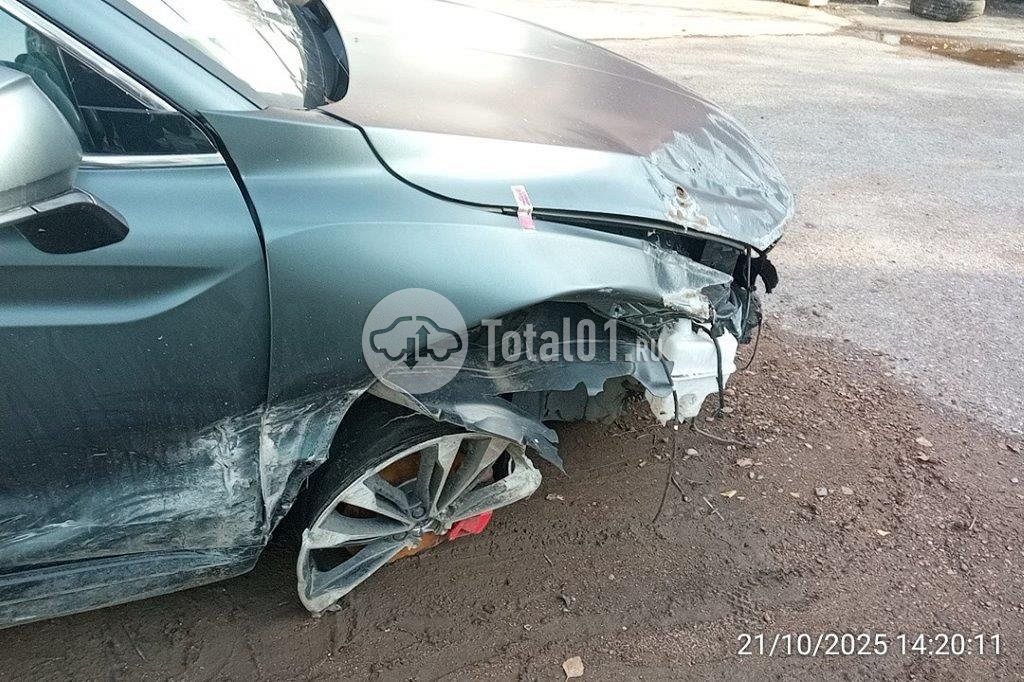 Фото Knewstar 1 264