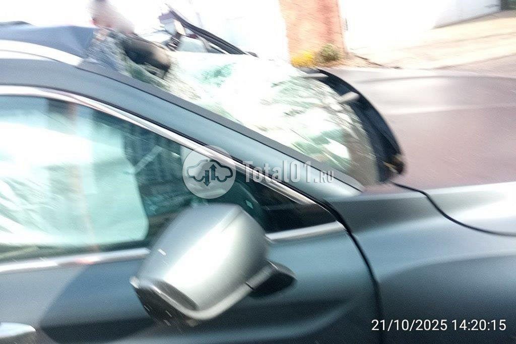 Фото Knewstar 1 268