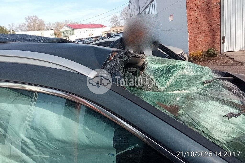 Фото Knewstar 1 270