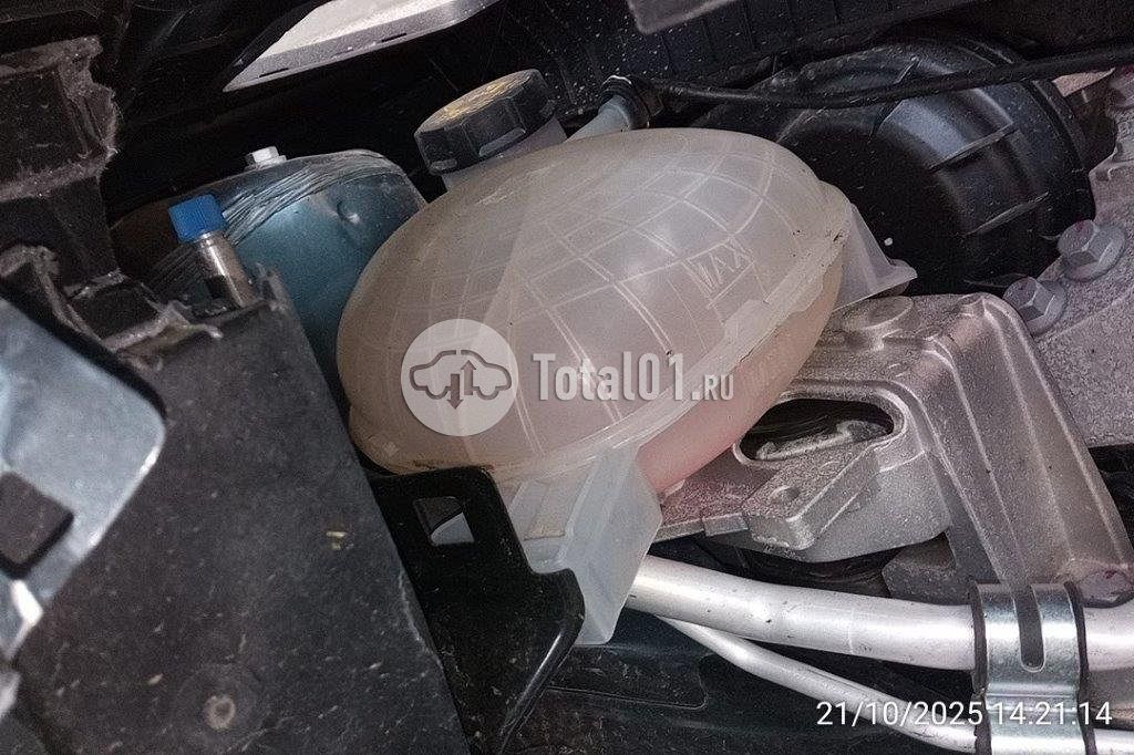 Фото Knewstar 1 274